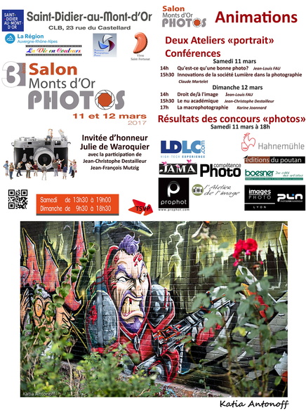 Flyer Salon Mt D'Or.jpg