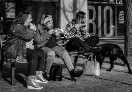 la rue (18)